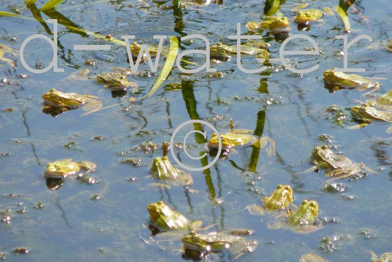 danielle-erve-waterfotografie-zaandam-texel